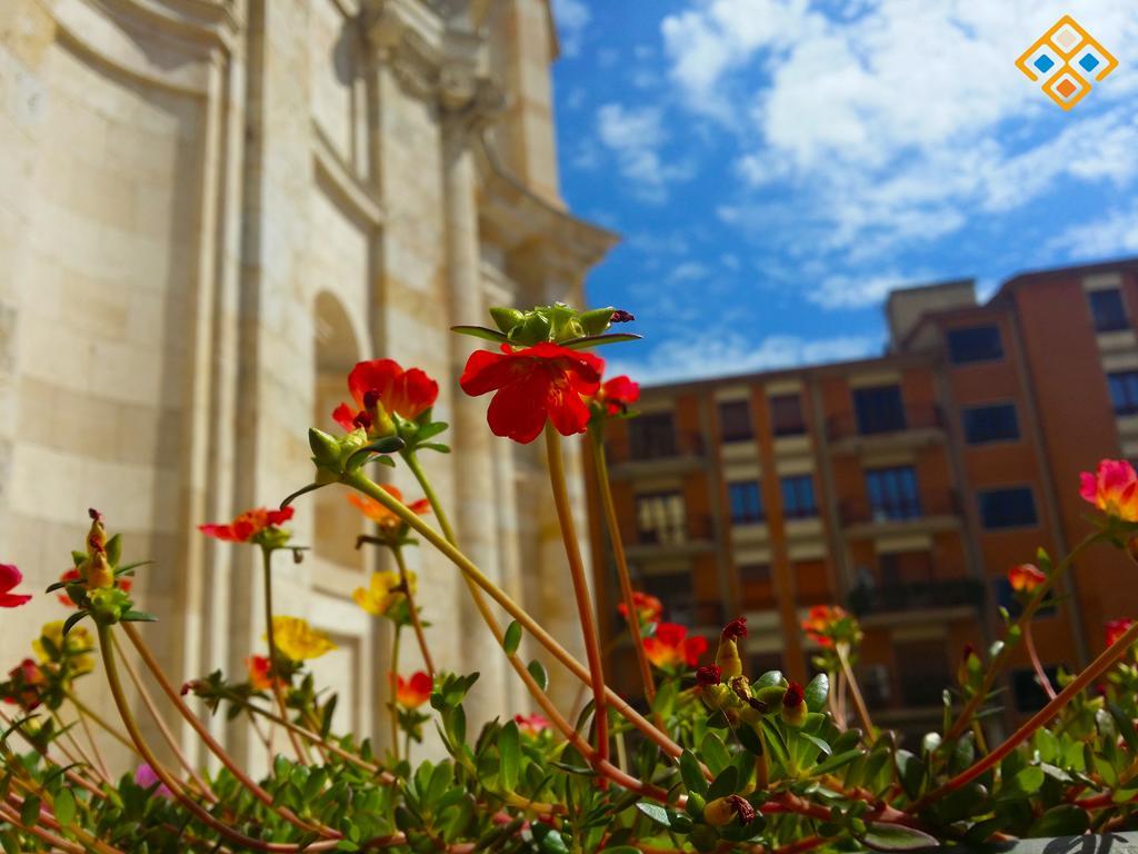 Sa Domu De Ajaja Apartments Cagliari Exteriör bild